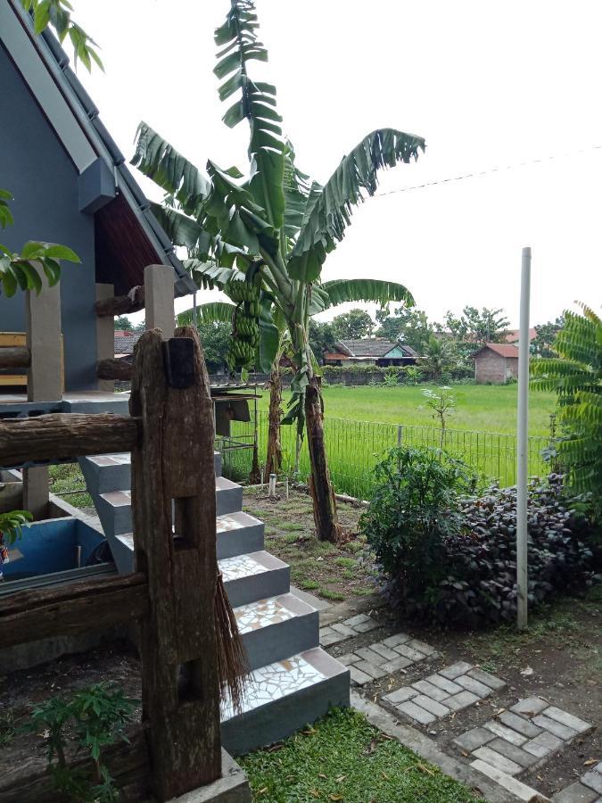Joglopari Guesthouse Room 2 Bukan Untuk Pasangan Non Pasutri Cepit Ngoại thất bức ảnh